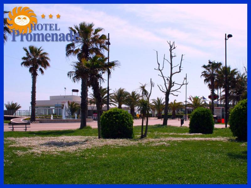 Hotel Promenade Porto SantʼElpidio Εξωτερικό φωτογραφία