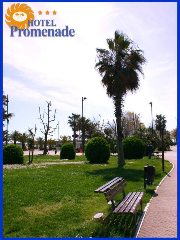 Hotel Promenade Porto SantʼElpidio Εξωτερικό φωτογραφία